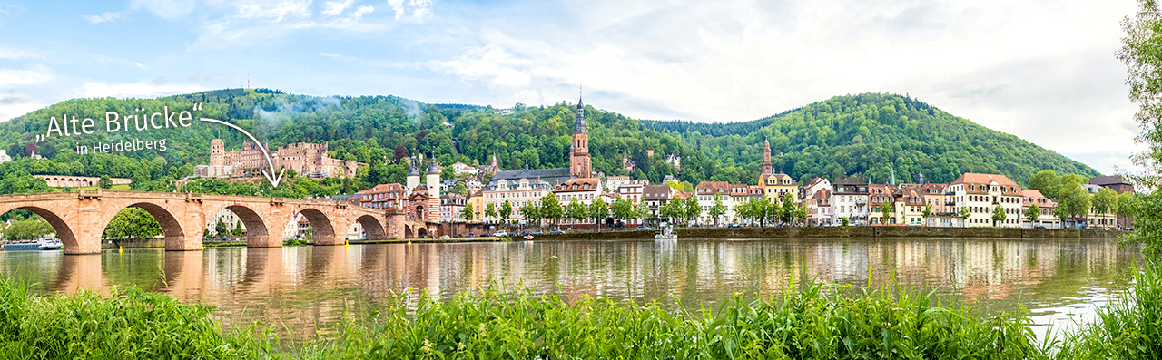 Baden-Wuerttemberg_Head.png