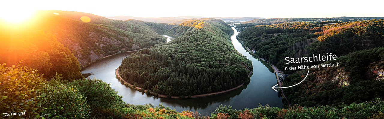Saarland_Head.png